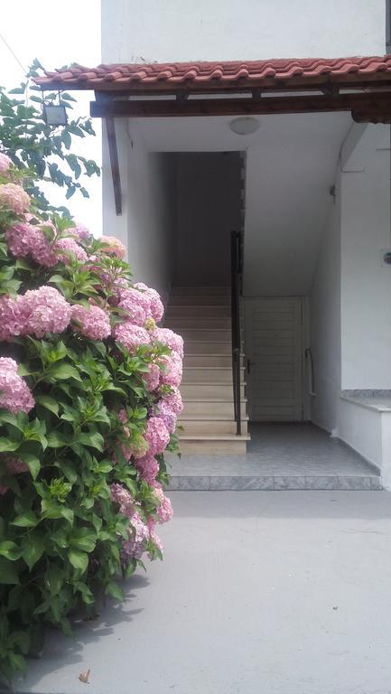 Georgoulas Apartments Paralía Skotínis المظهر الخارجي الصورة